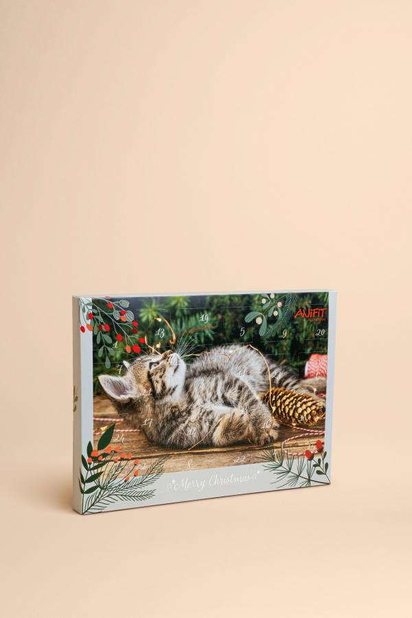 Calendrier de l'Avent pour chats